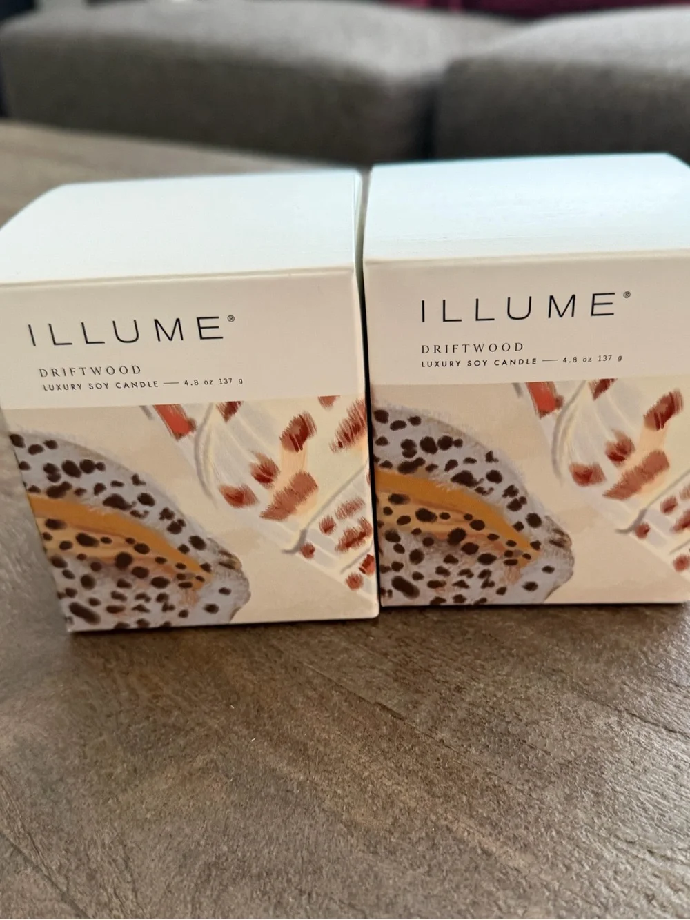 ILLUME Driftwood Baby Boxed Glass  4.8 Oz Candle Set of 2